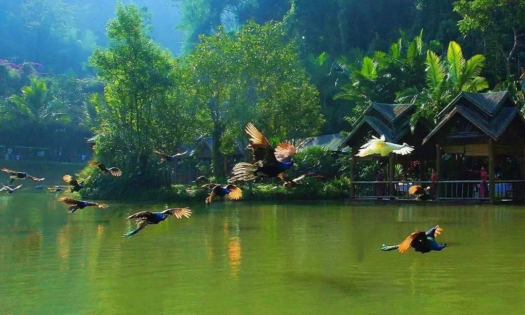 电视剧《九霄寒夜暖》的看点是什么？游戏画面